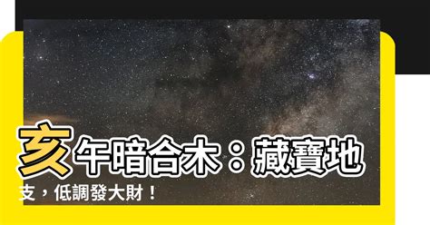 亥午暗合木|【亥午暗合木】亥午暗合木：藏寶地支，低調發大財！